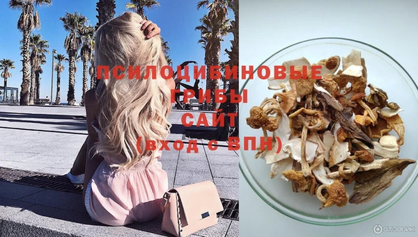 дмт Беломорск