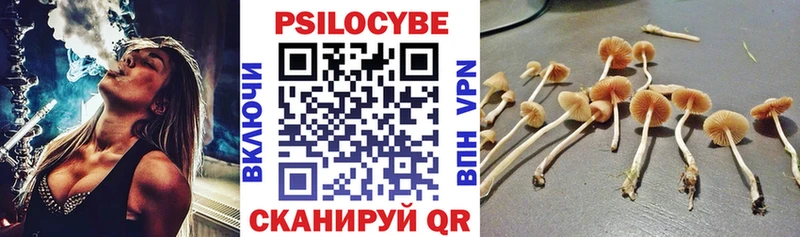 где купить   Оха  Псилоцибиновые грибы ЛСД 